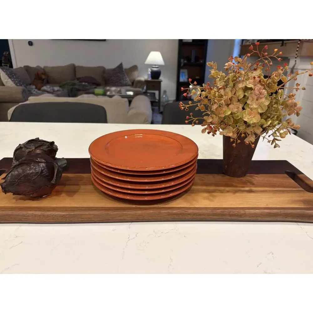 Pier 1 Toscana Terracotta Salad Luncheon Plate 8.75